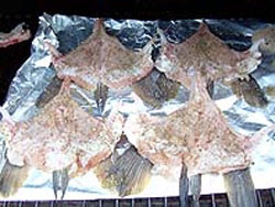 Grouper throats