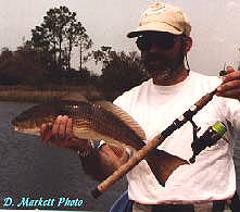 redfish2.jpg (11019 bytes)