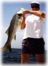 snookrm1.jpg (12575 bytes)