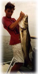 snookrm2.jpg (11007 bytes)