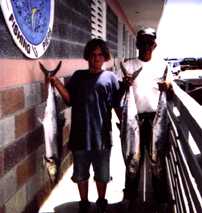 king mackerel